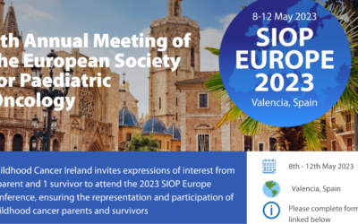 Are you interested in attending the SIOP Europe Conference?