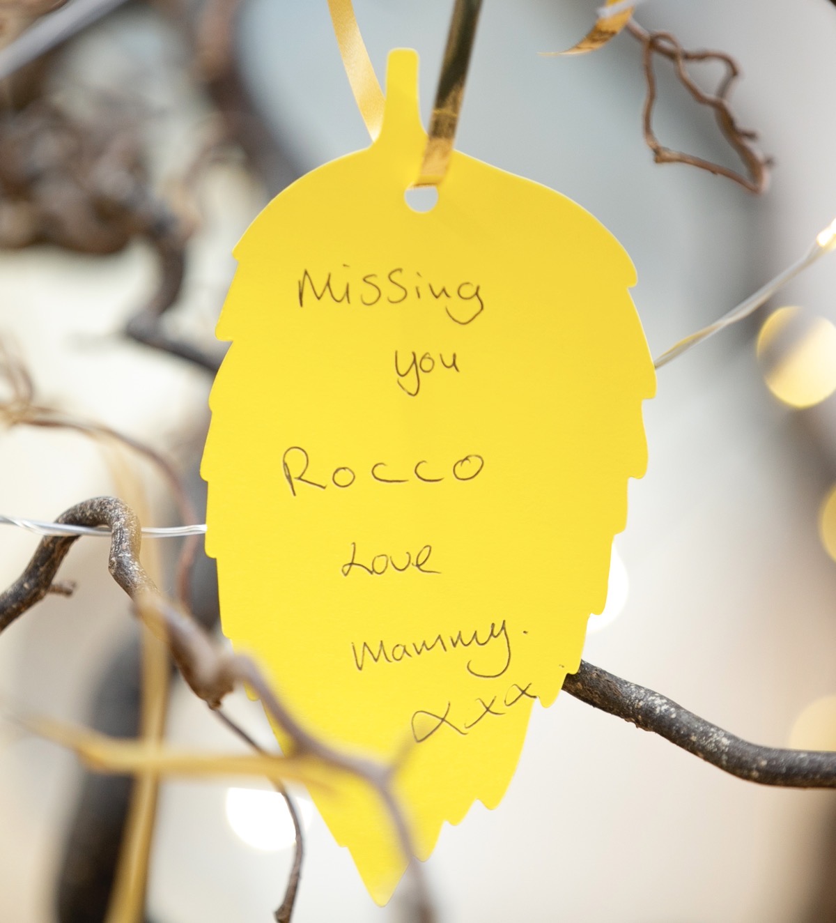 *****NO FEE PIC***
24/09/2023
General Scenes
during the Light it up Gold Walk in Maynooth, Co. Kildare.
The candlelit walk brought families and the community together in solidarity, to shine a light on living with and beyond childhood cancer. 
The event took place in St. Patrick’s College Maynooth & St. Mary's Boys' National School marking  the 10th anniversary of the first walk in Dublin in 2013.
PHOTO: Gareth Chaney/Collins