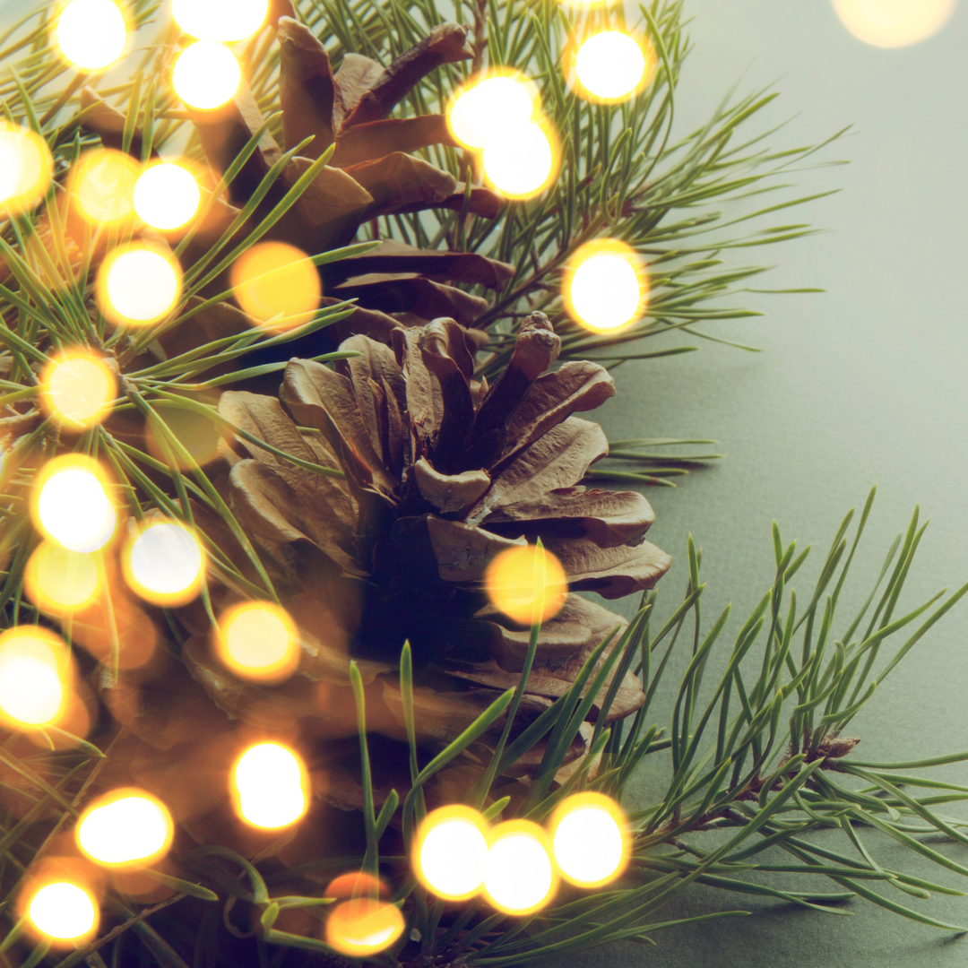 Chrsitmas bells (1) Christmas pine cone